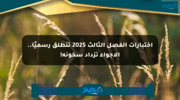 اختبارات الفصل الثالث 2025 تنطلق رسميًا.. الأجواء تزداد سخونة!